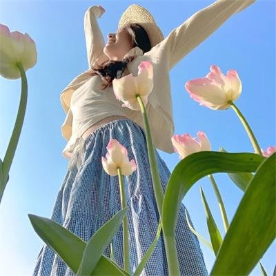职场菜鸟生存图鉴